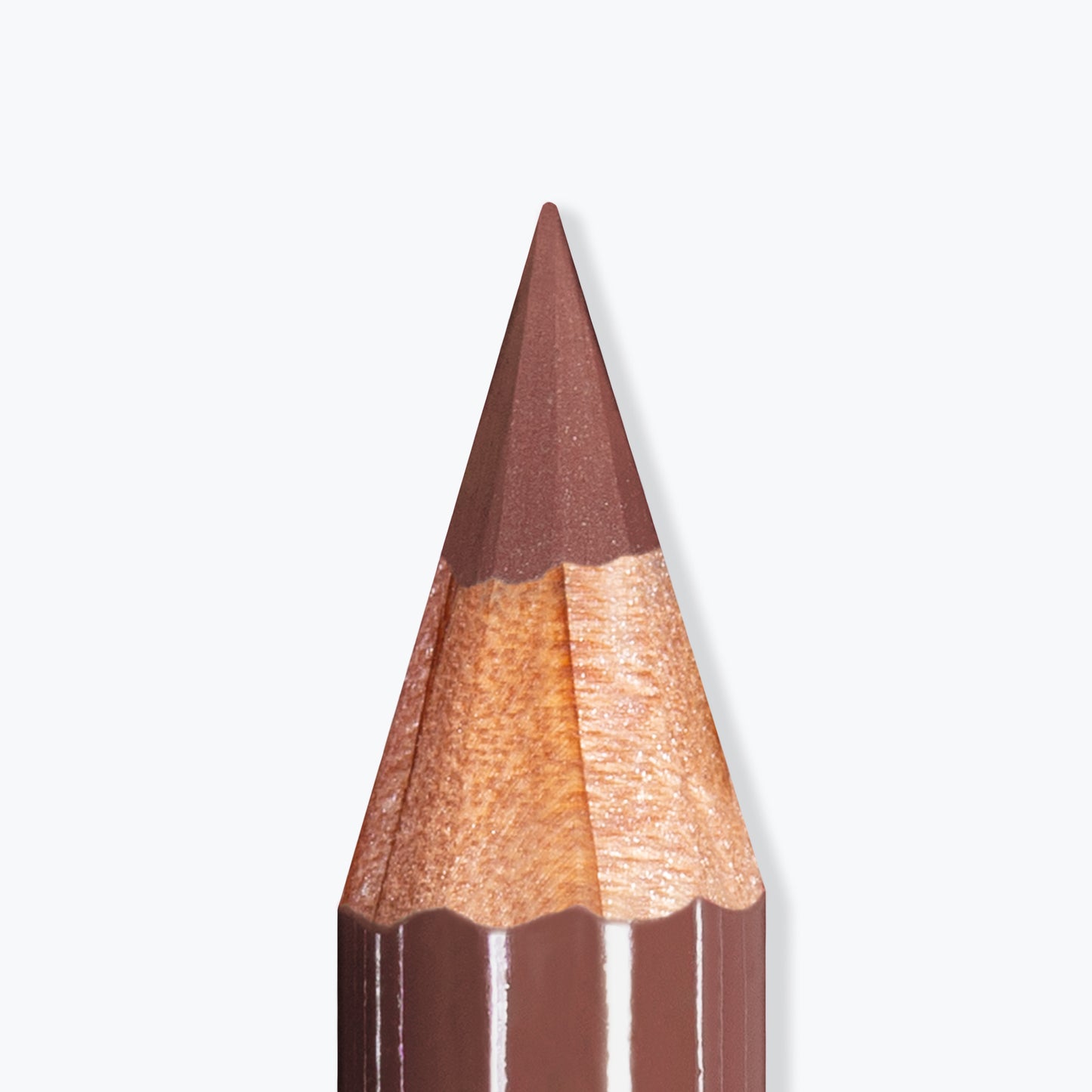 ARTIST LIPS